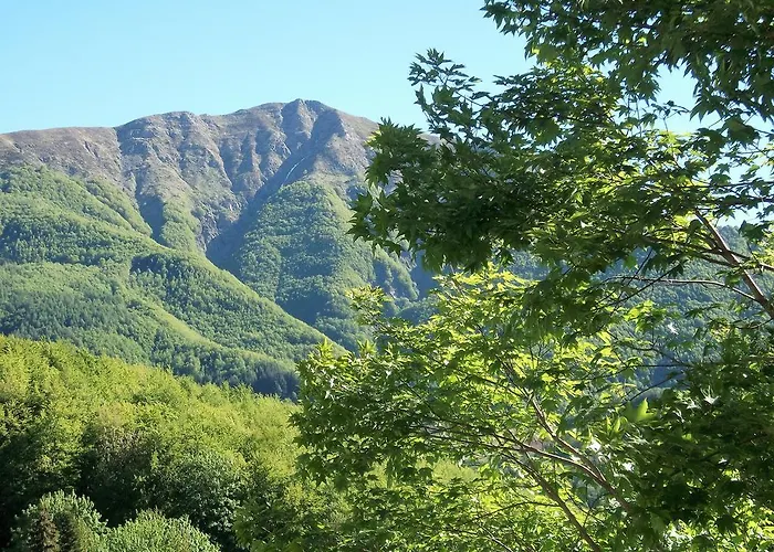 דירה Serena אבטונה